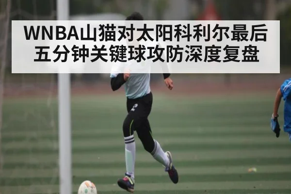 WNBA山猫对太阳科利尔最后五分钟关键球攻防深度复盘
