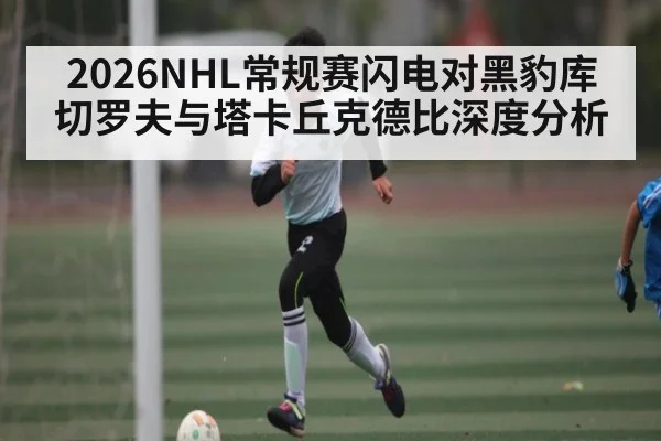 2026NHL常规赛闪电对黑豹库切罗夫与塔卡丘克德比深度分析